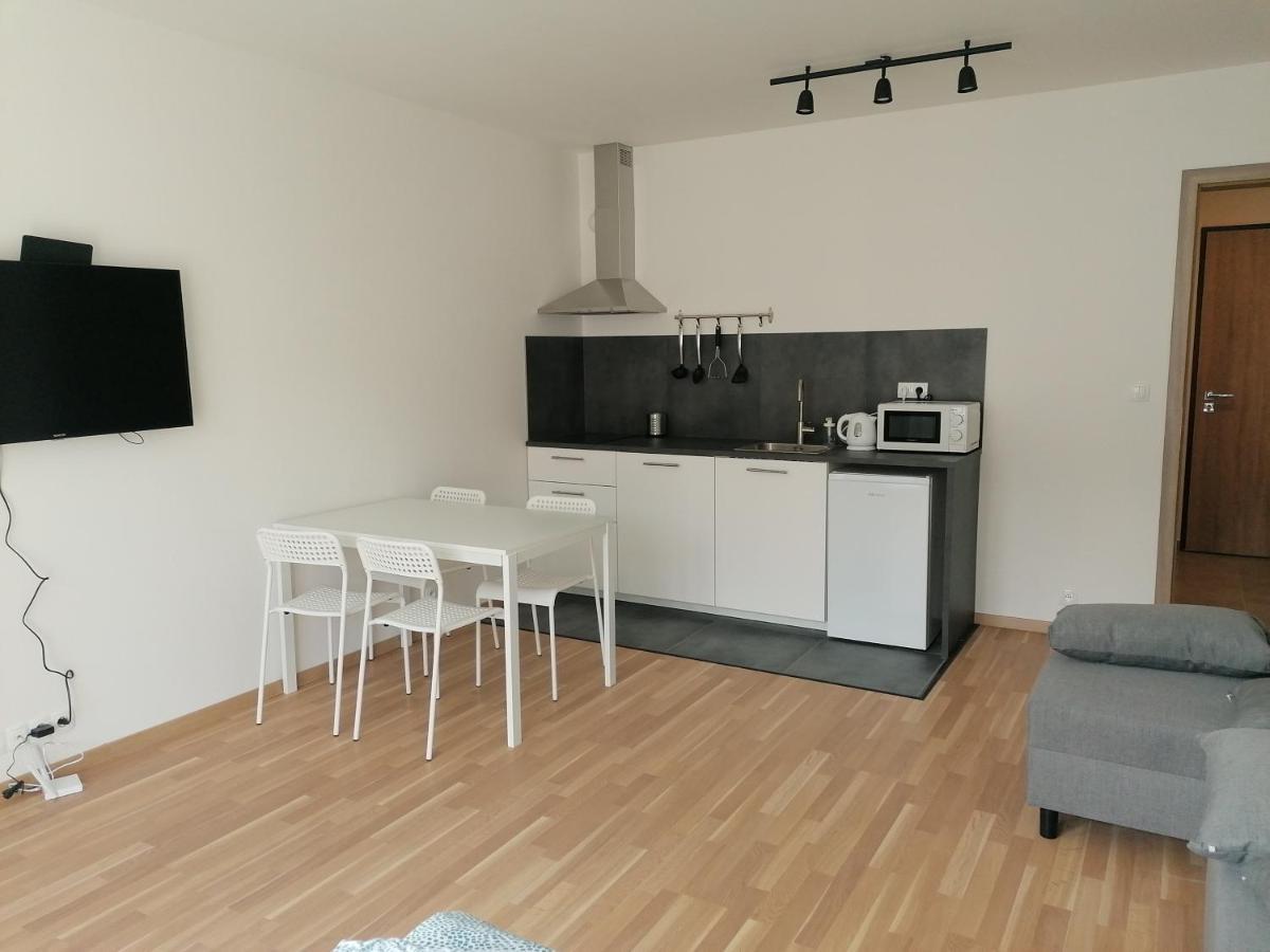 Brand New Studio Apartment #51 With Free Secure Parking In The Center Prag Exterior foto